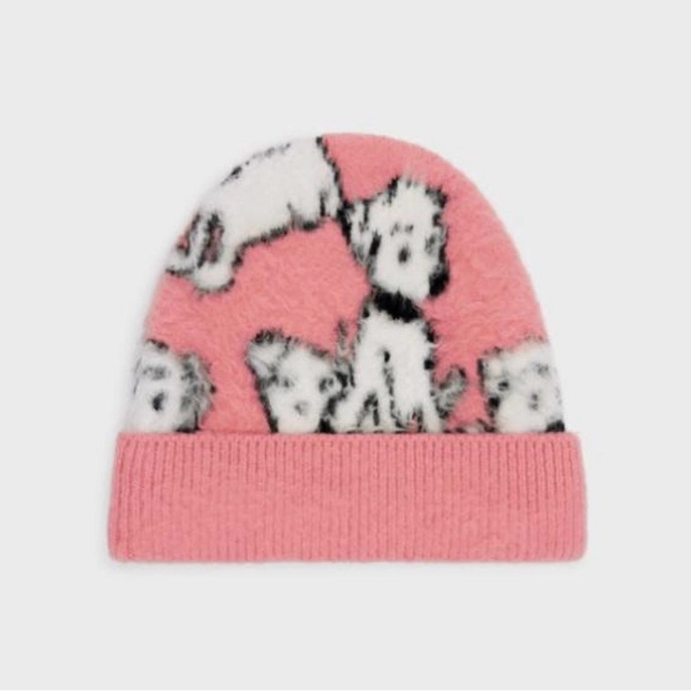 Celine beanie